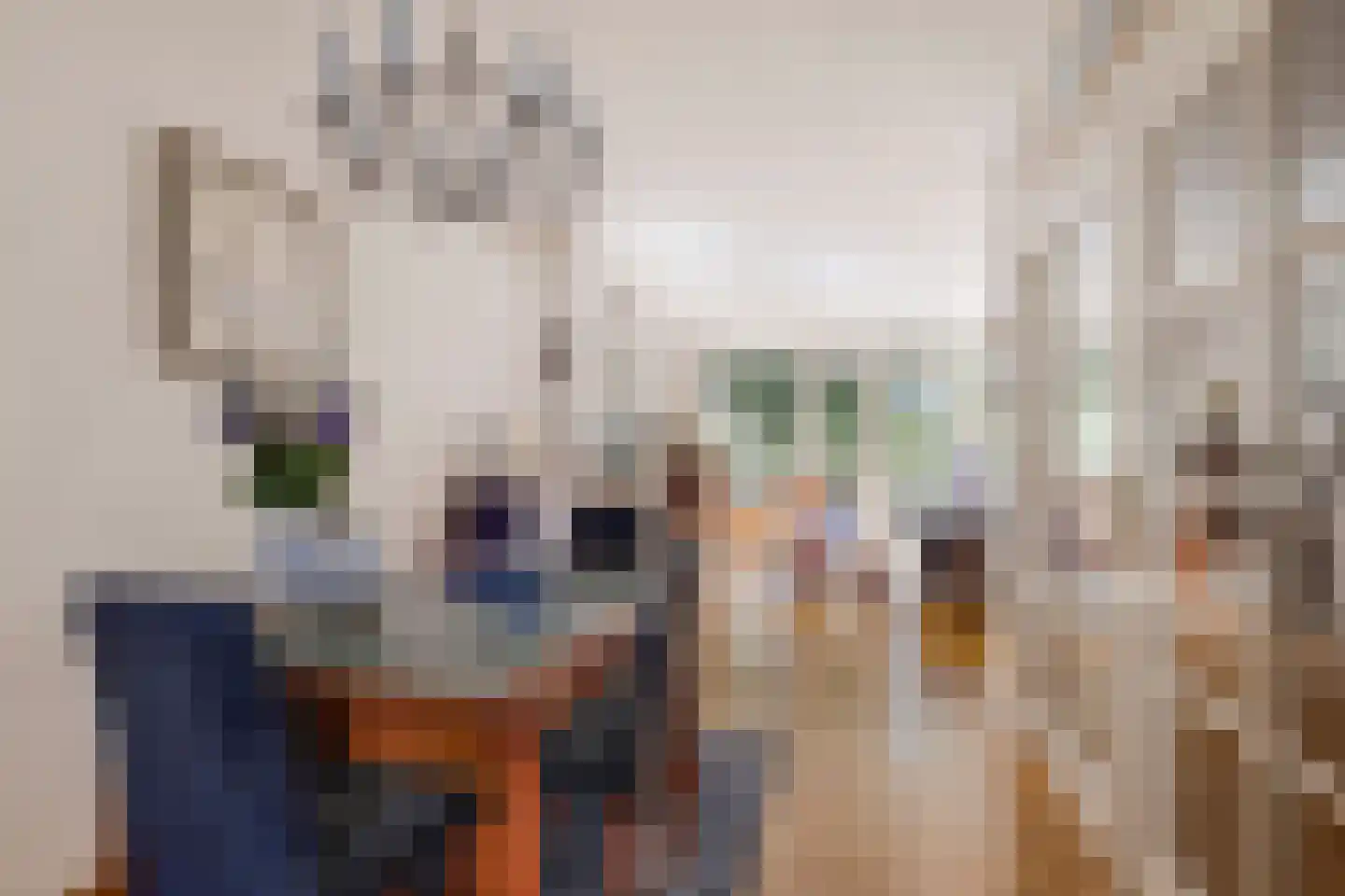 Laan van Parijs 33 Haarlem thumbnail 6