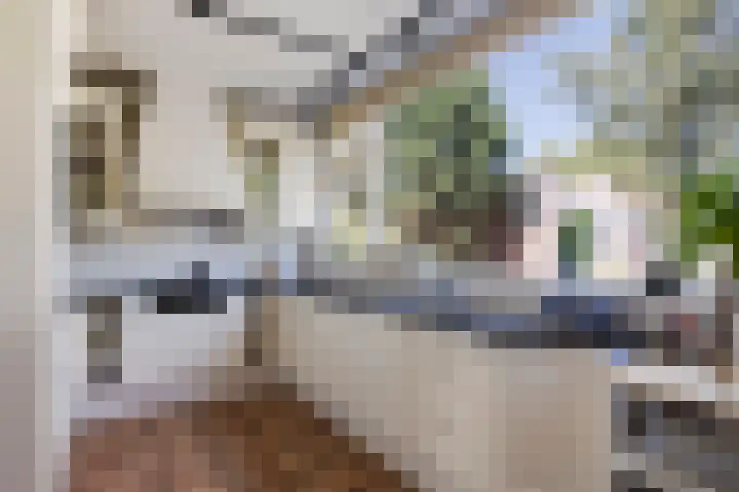 Laan van Parijs 33 Haarlem thumbnail 7
