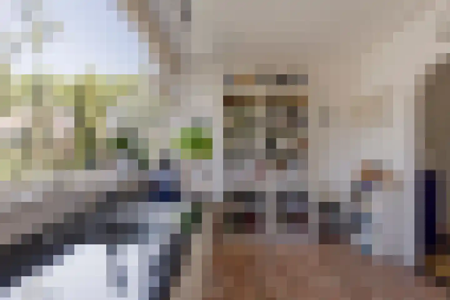 Laan van Parijs 33 Haarlem thumbnail 8