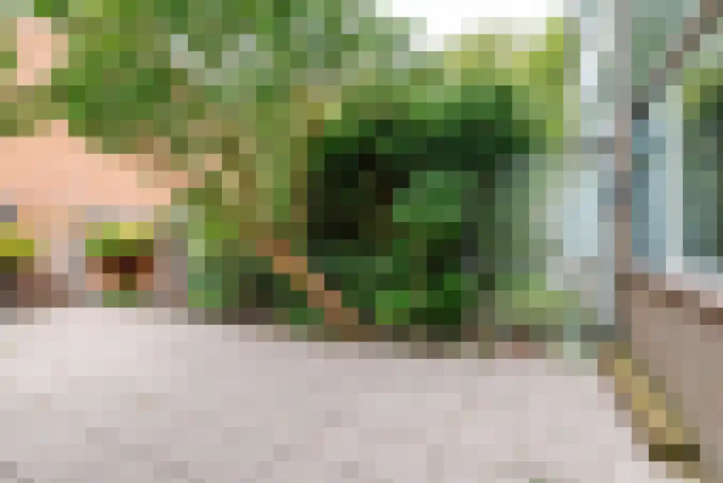 Laan van Parijs 39 Haarlem thumbnail 9