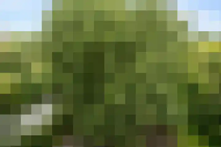 Laan van Parijs 40 Haarlem thumbnail 11