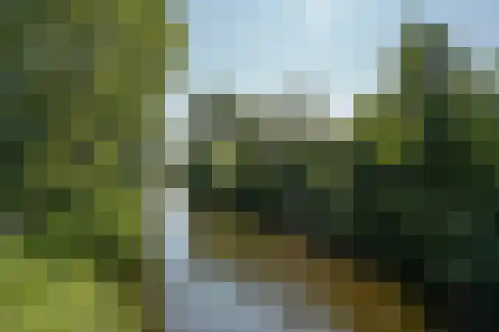 Laan van Parijs 40 Haarlem thumbnail 27