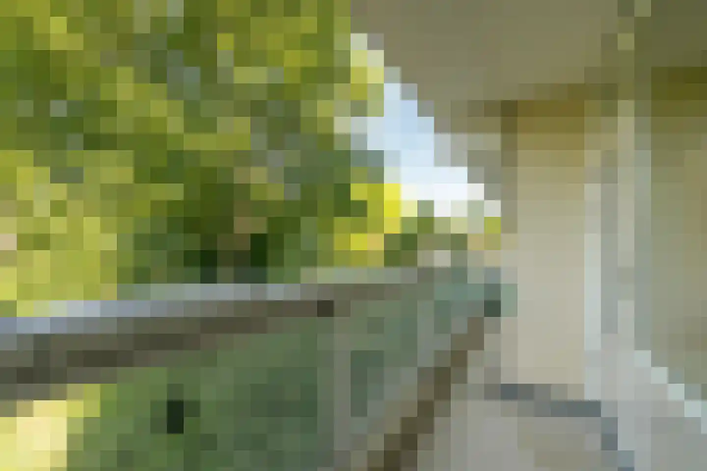 Laan van Parijs 52 Haarlem thumbnail 13
