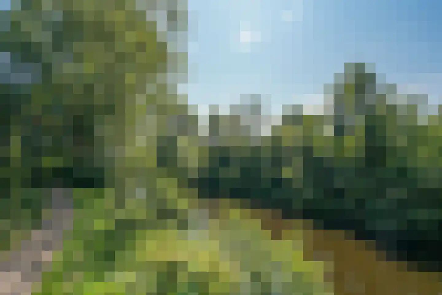 Laan van Parijs 52 Haarlem thumbnail 26