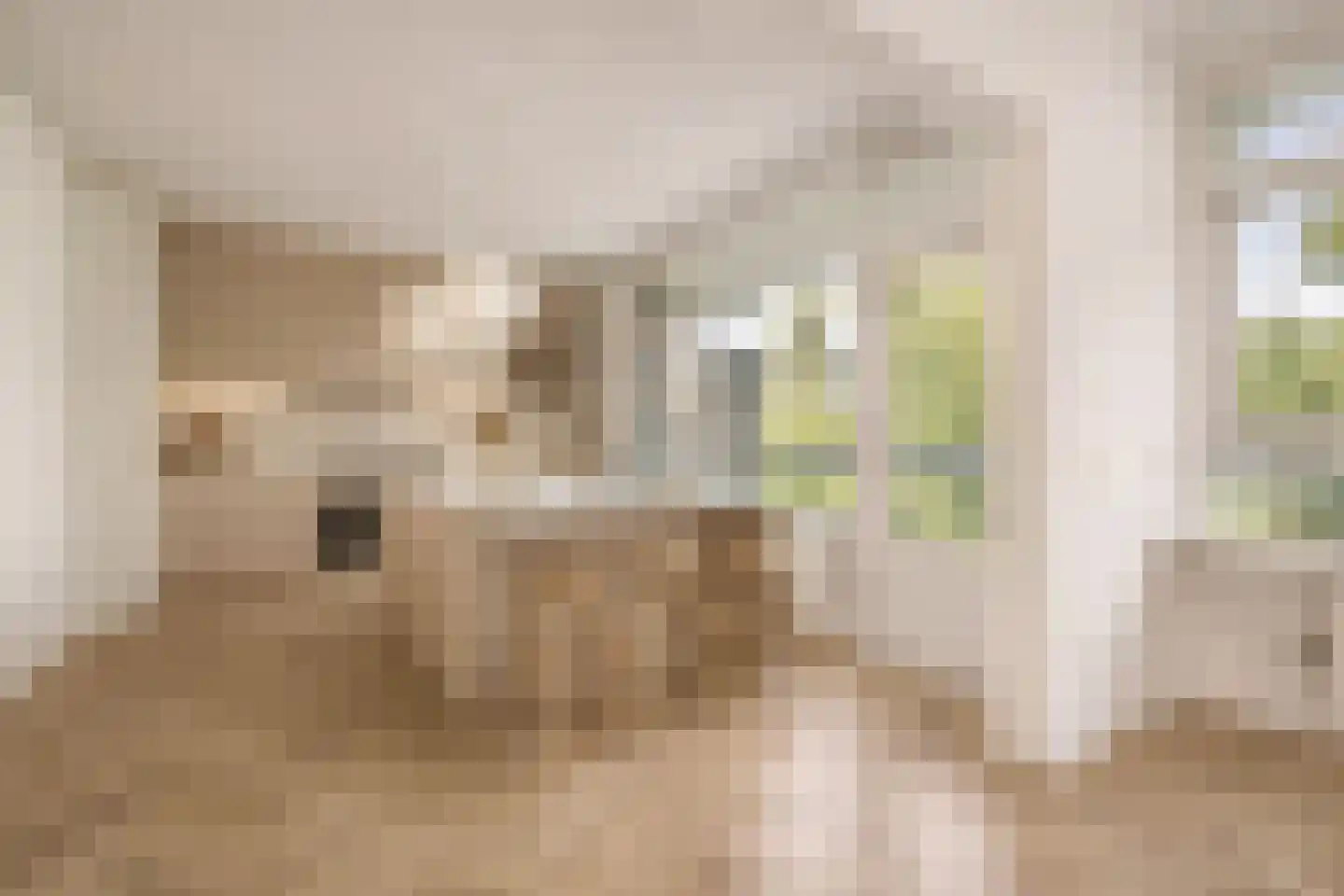 Laan van Parijs 52 Haarlem thumbnail 6