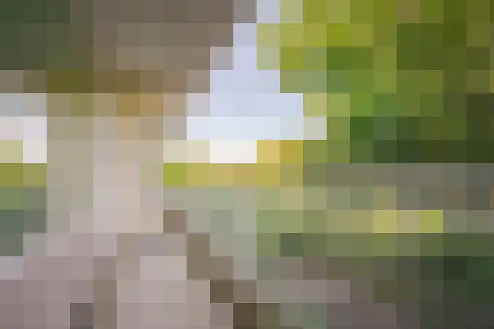 Laan van Parijs 62 Haarlem thumbnail 13