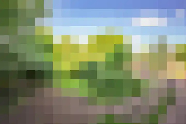 Laan van Parijs 62 Haarlem thumbnail 14