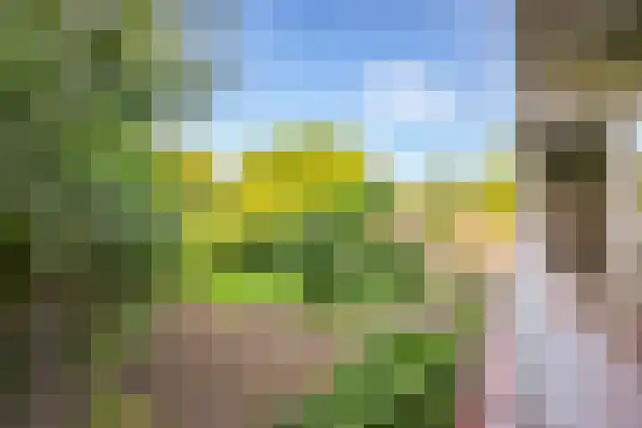 Laan van Parijs 62 Haarlem thumbnail 15