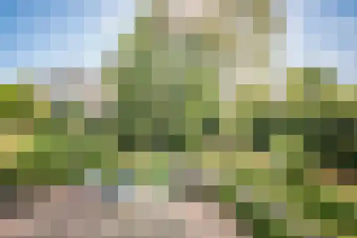 Laan van Parijs 62 Haarlem thumbnail 21
