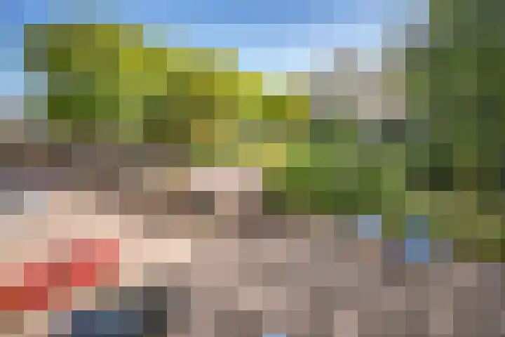 Laan van Parijs 62 Haarlem thumbnail 22