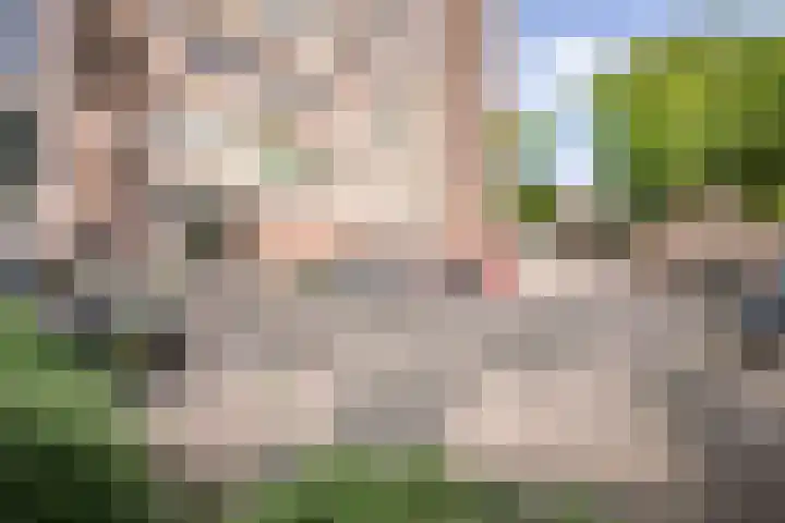 Laan van Parijs 62 Haarlem thumbnail 23