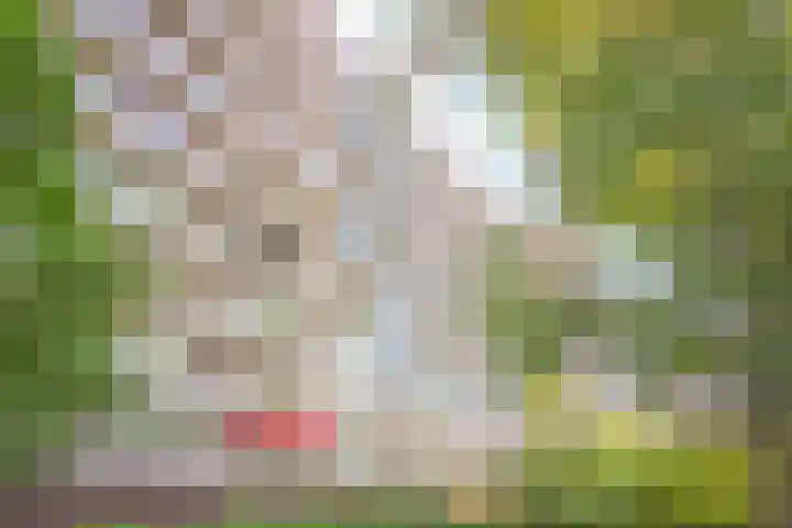 Laan van Parijs 62 Haarlem thumbnail 25