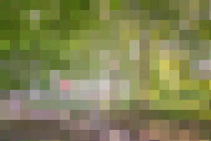 Laan van Parijs 62 Haarlem thumbnail 26