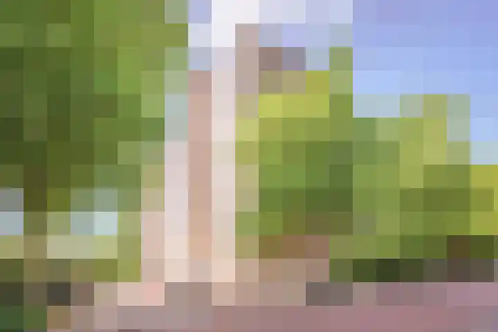 Laan van Parijs 62 Haarlem thumbnail 27