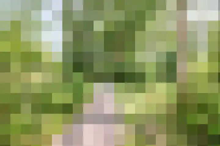 Laan van Parijs 62 Haarlem thumbnail 28