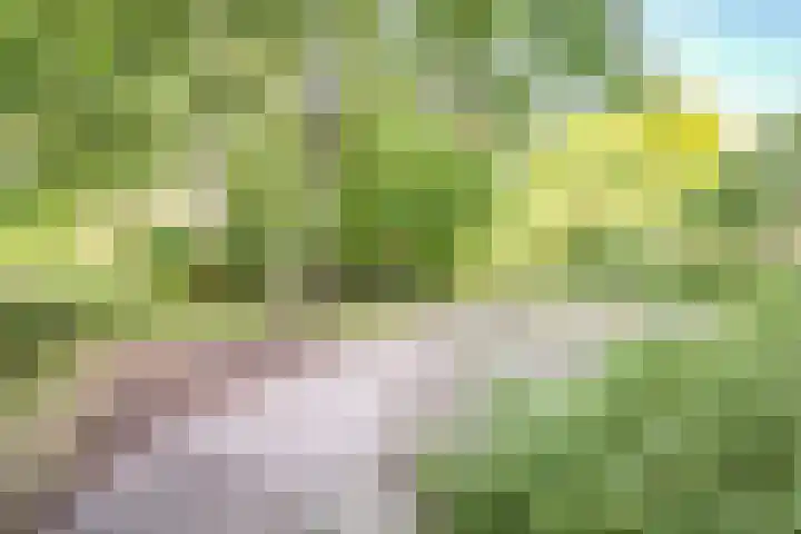 Laan van Parijs 62 Haarlem thumbnail 29