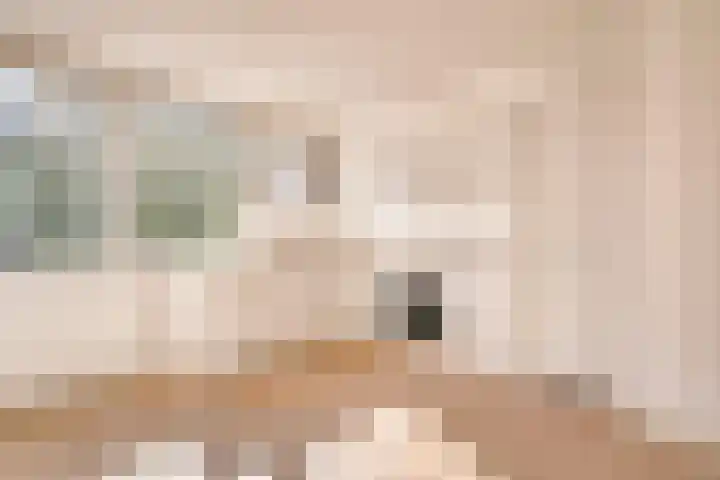 Laan van Parijs 62 Haarlem thumbnail 4