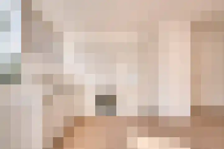 Laan van Parijs 62 Haarlem thumbnail 8