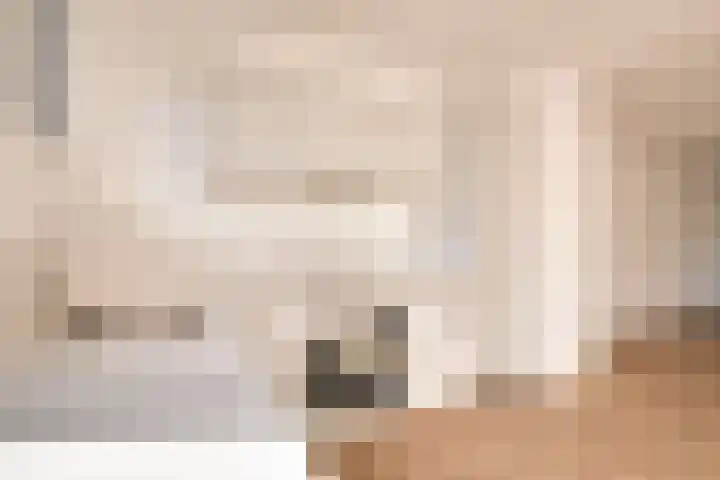 Laan van Parijs 62 Haarlem thumbnail 9