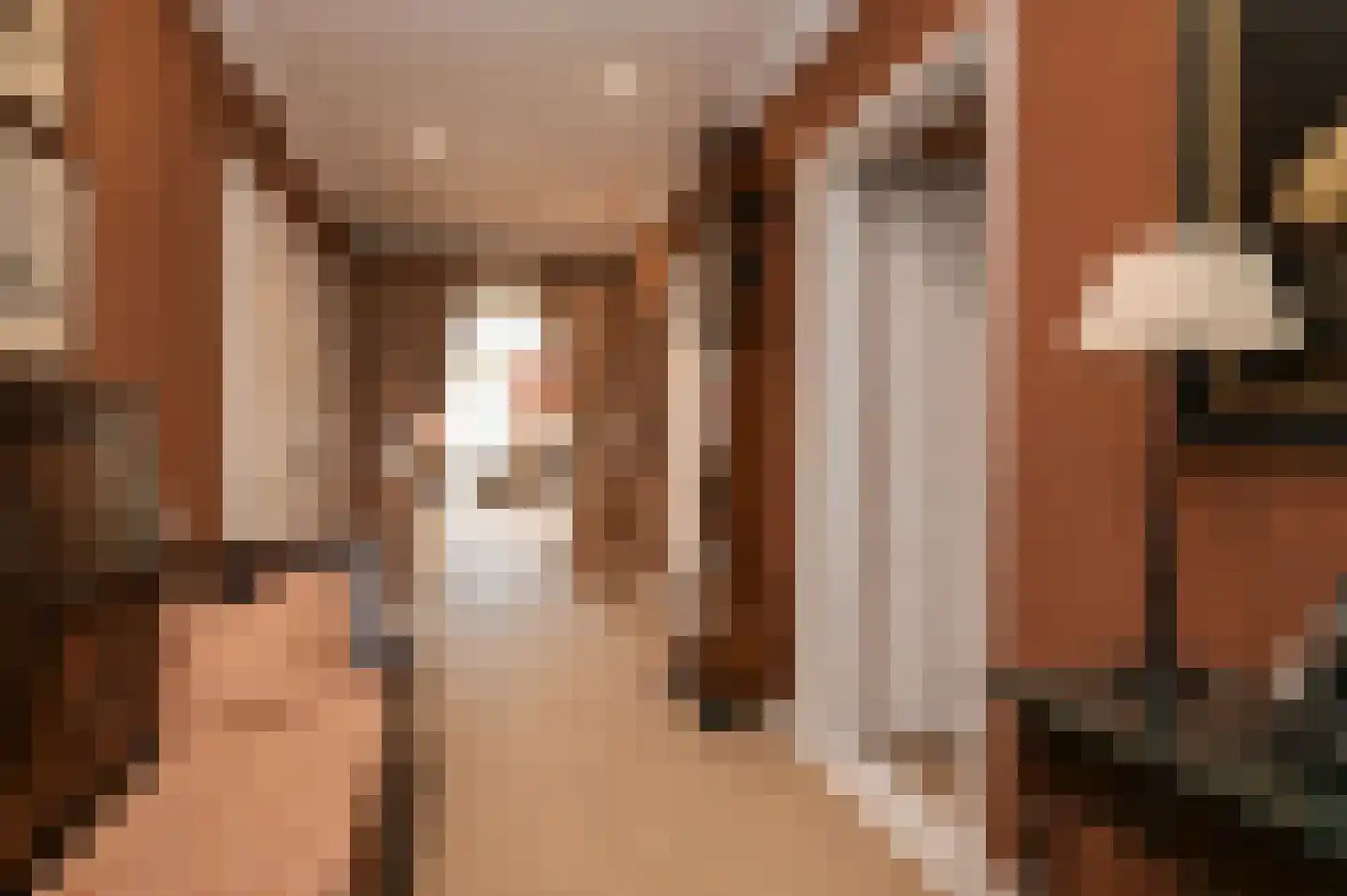Laan van Pluymestein 22 Wassenaar thumbnail 10