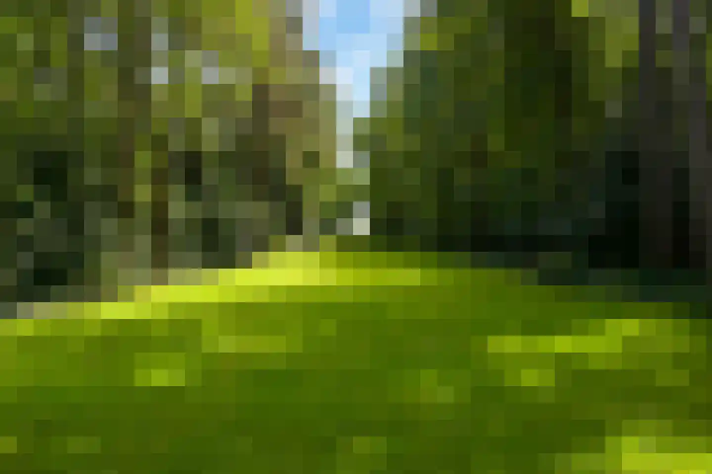 Laan van Pluymestein 22 Wassenaar thumbnail 11