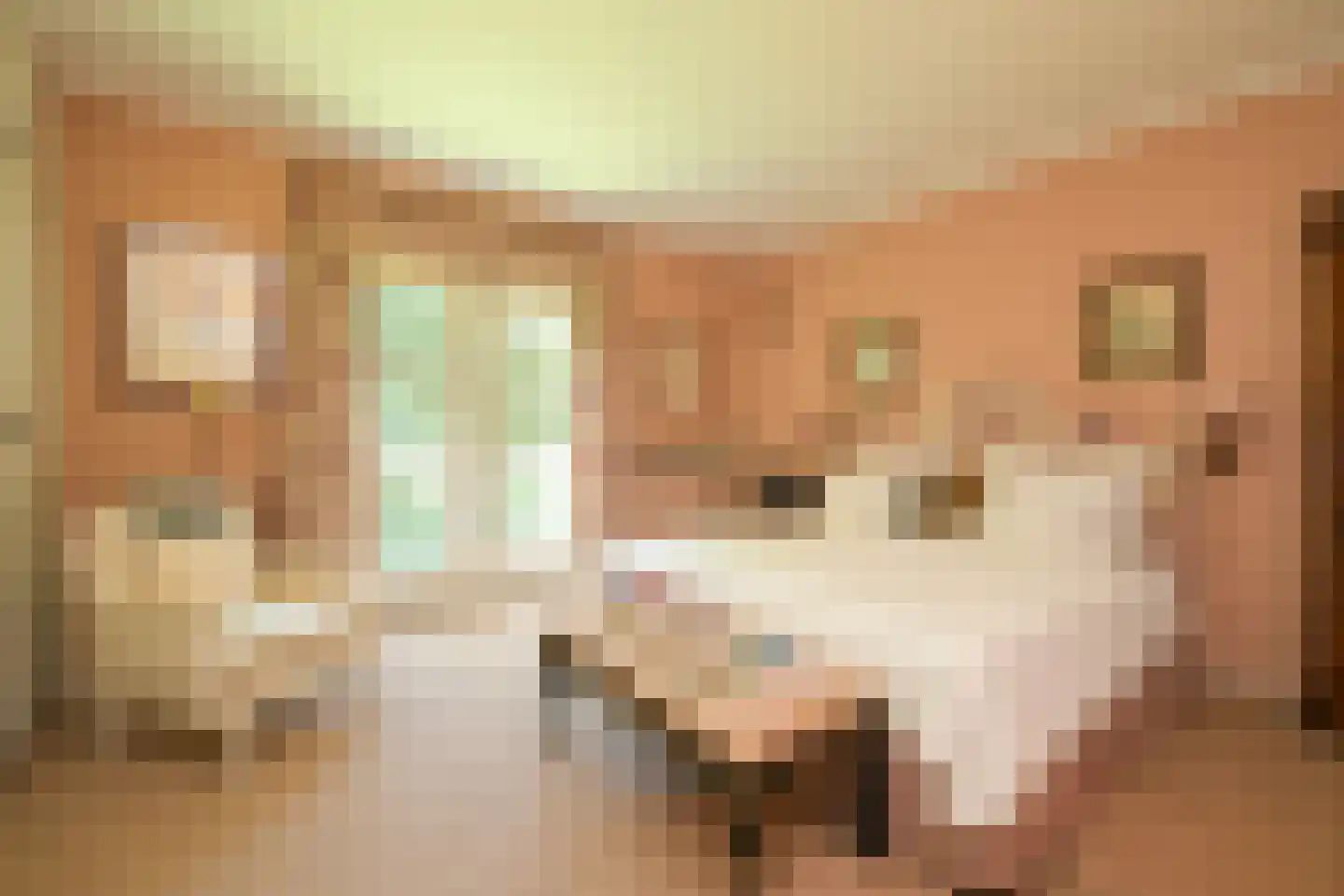 Laan van Pluymestein 22 Wassenaar thumbnail 17