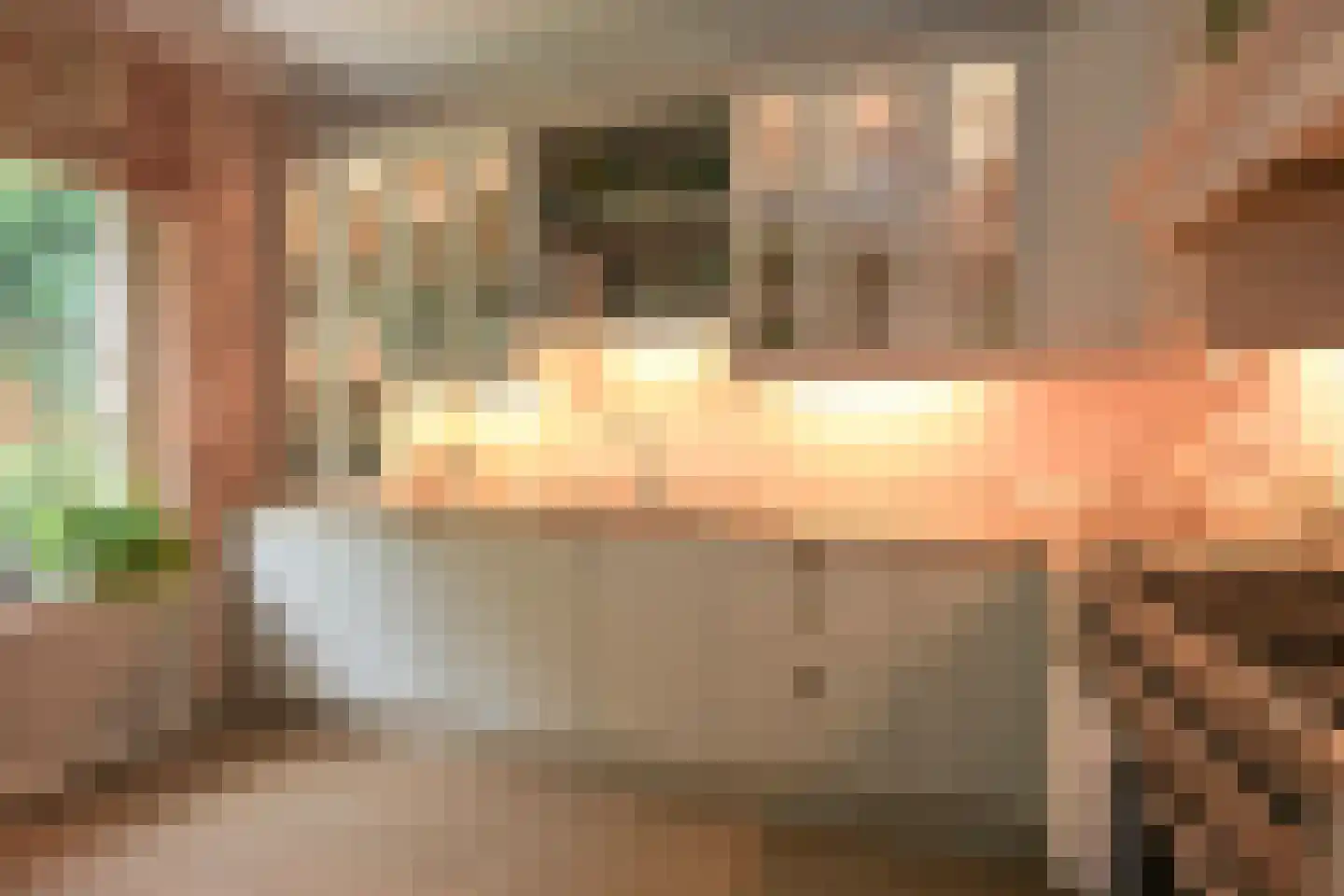 Laan van Pluymestein 22 Wassenaar thumbnail 18