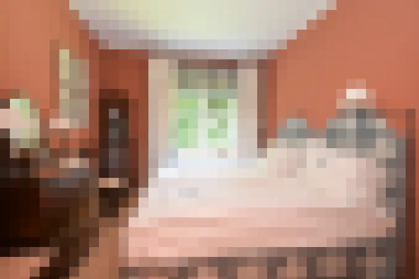 Laan van Pluymestein 22 Wassenaar thumbnail 21