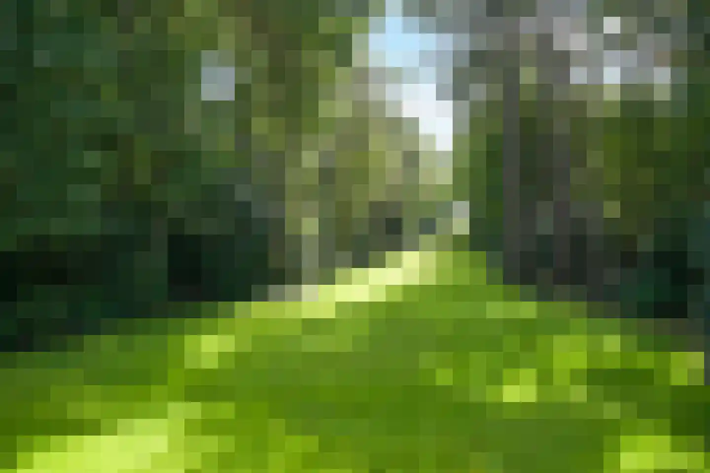 Laan van Pluymestein 22 Wassenaar thumbnail 25