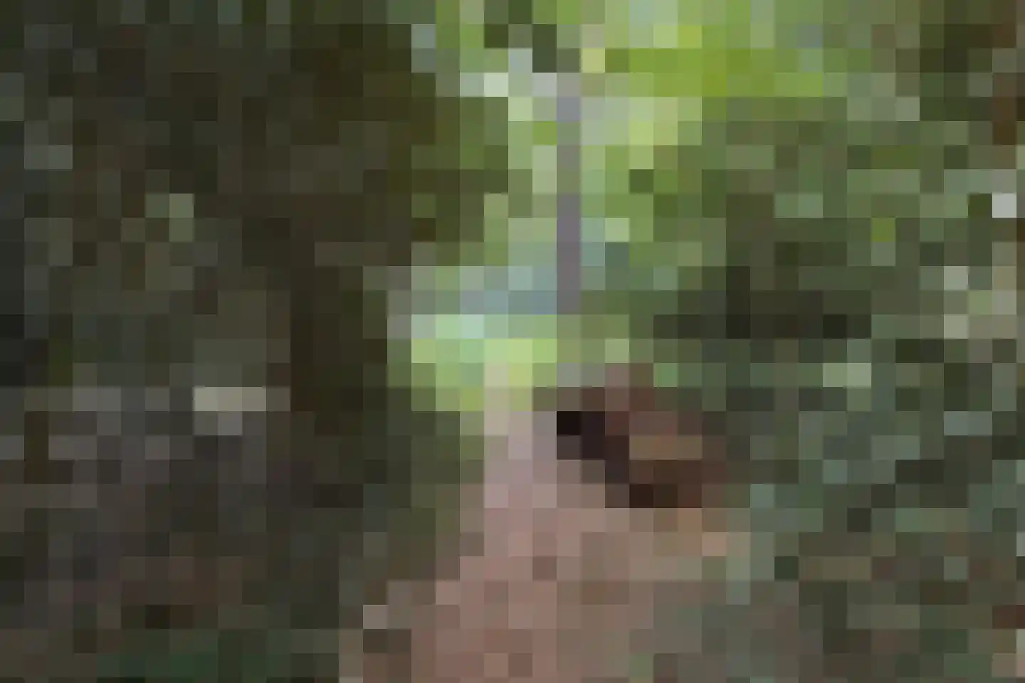 Laan van Pluymestein 22 Wassenaar thumbnail 32
