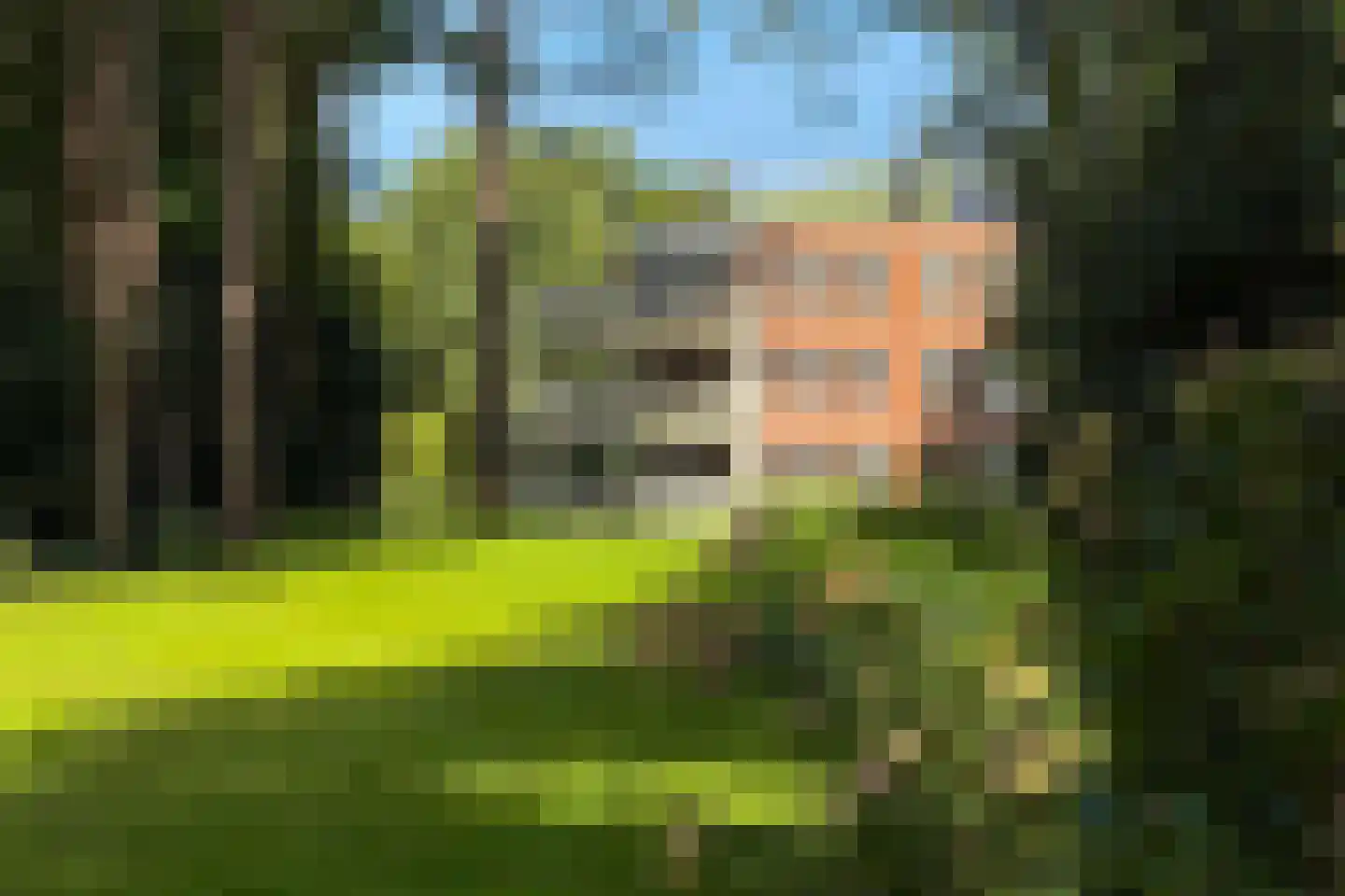 Laan van Pluymestein 22 Wassenaar thumbnail 33