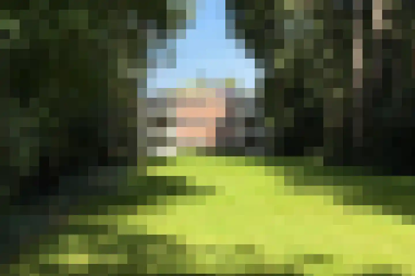 Laan van Pluymestein 22 Wassenaar thumbnail 44