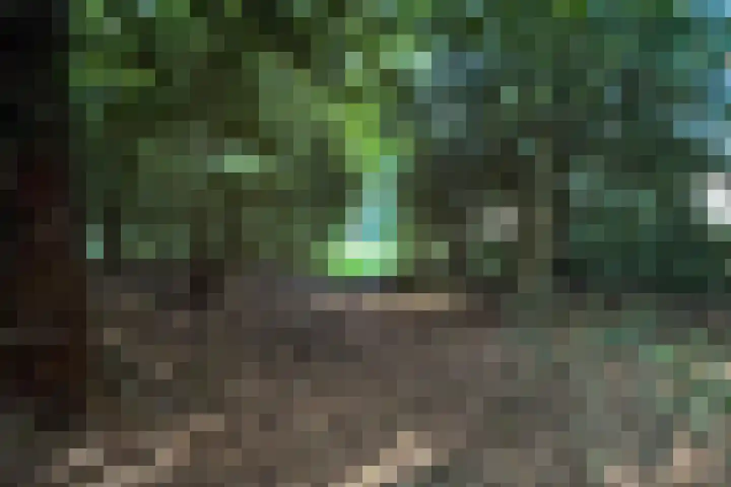 Laan van Pluymestein 22 Wassenaar thumbnail 47