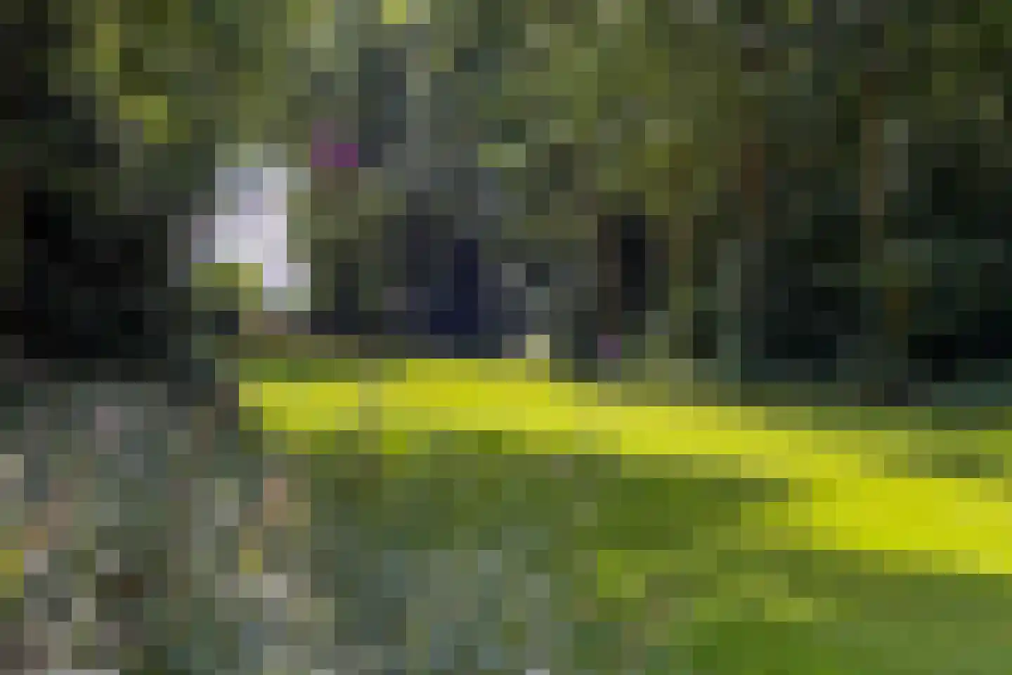 Laan van Pluymestein 22 Wassenaar thumbnail 48