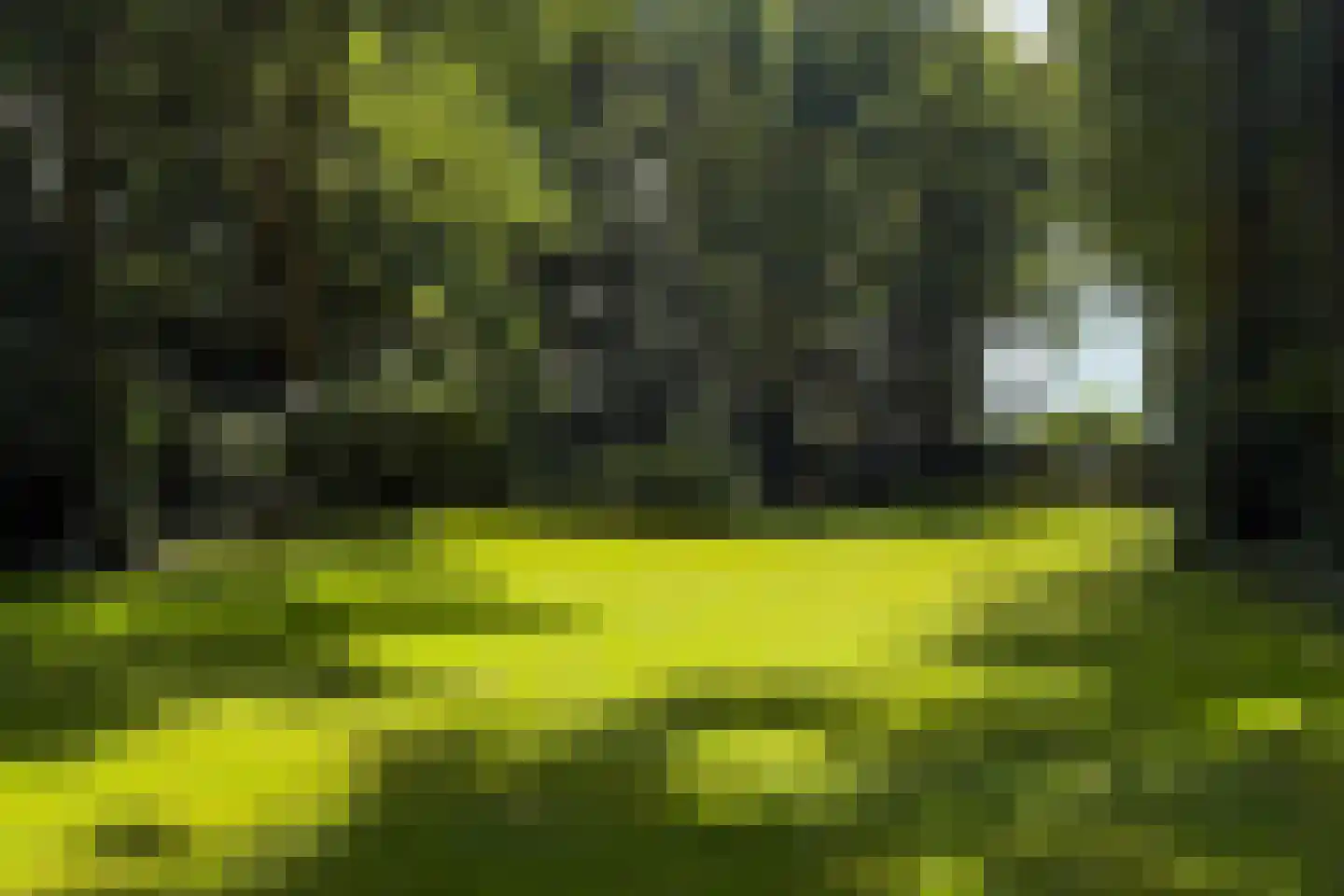 Laan van Pluymestein 22 Wassenaar thumbnail 49
