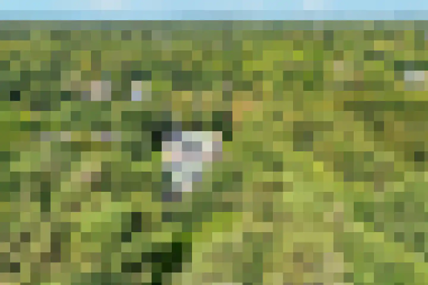 Laan van Pluymestein 22 Wassenaar thumbnail 5