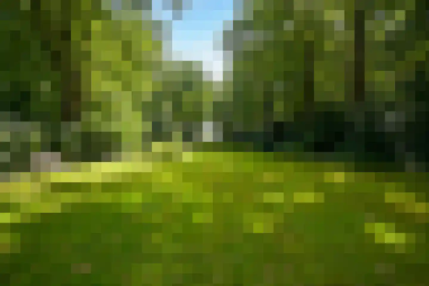 Laan van Pluymestein 22 Wassenaar thumbnail 6