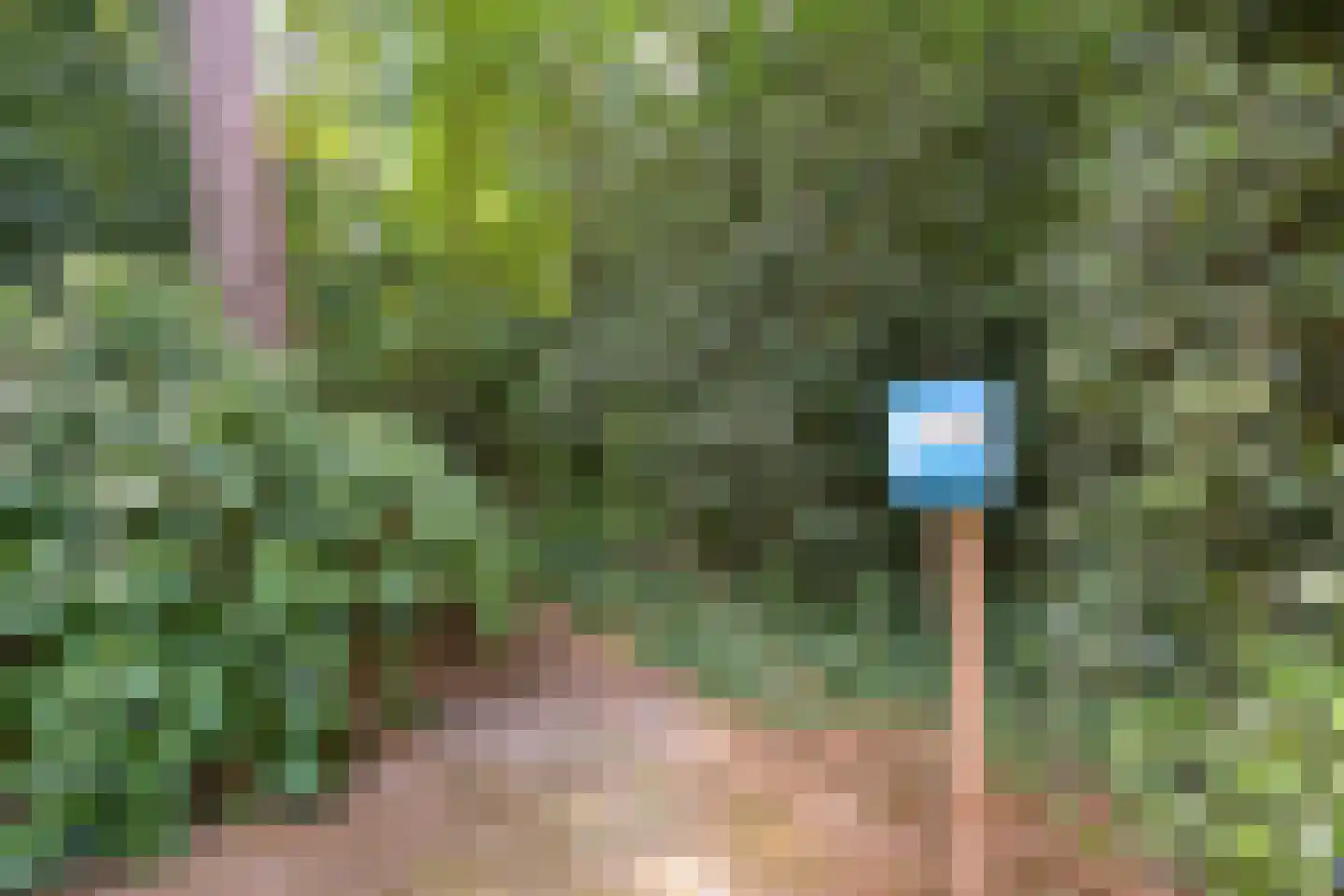 Laan van Pluymestein 22 Wassenaar thumbnail 8