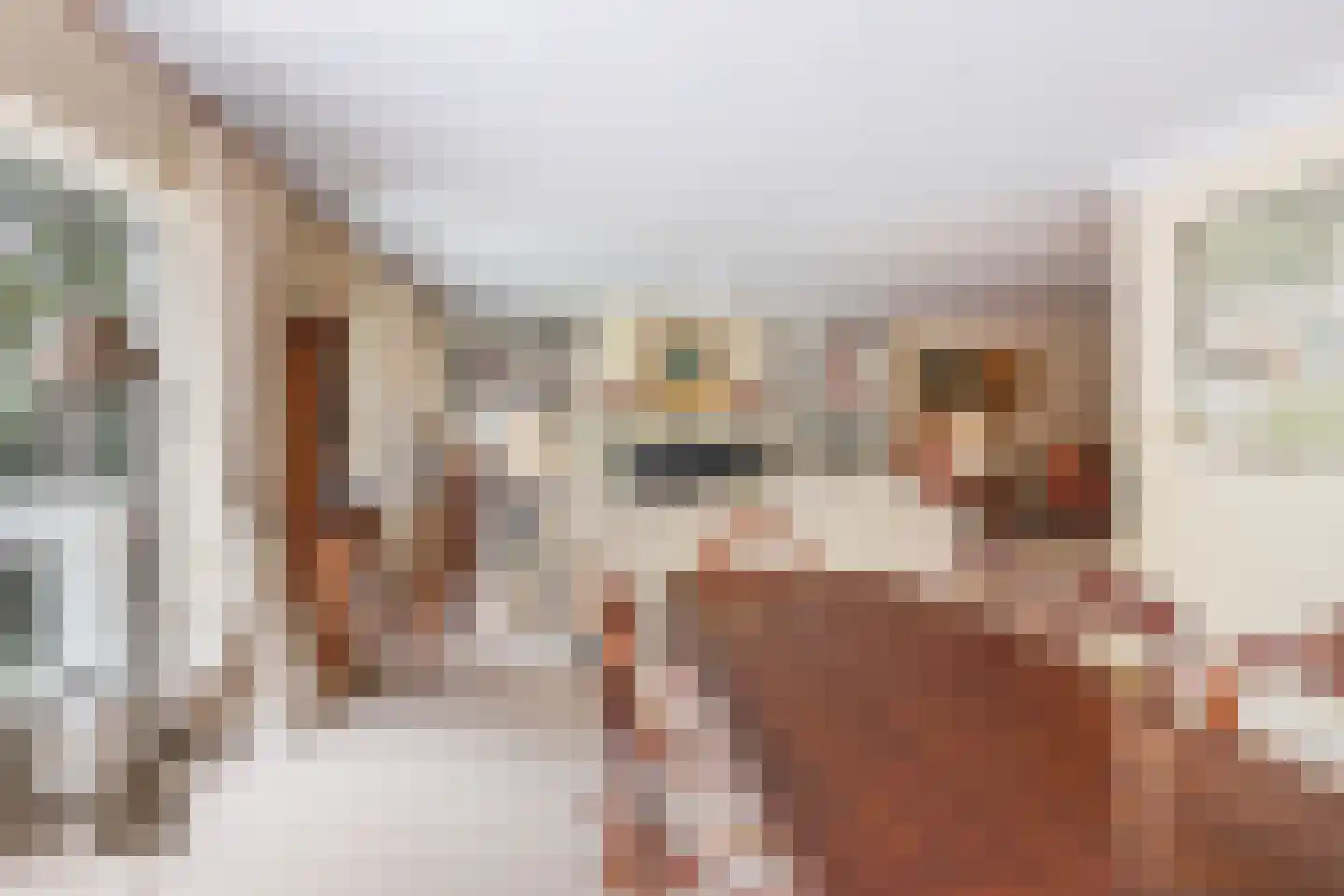 Laan van Pluymestein 30 Wassenaar thumbnail 13