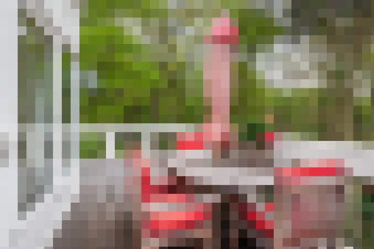 Laan van Pluymestein 30 Wassenaar thumbnail 13
