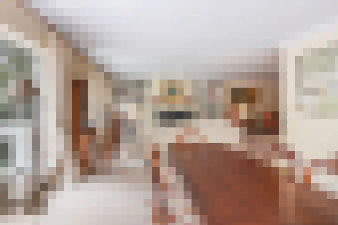 Laan van Pluymestein 30 Wassenaar thumbnail 14