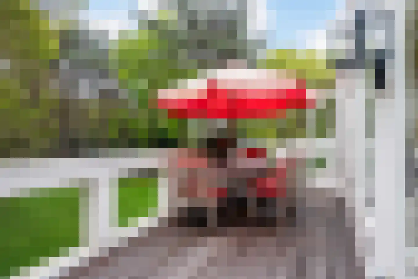 Laan van Pluymestein 30 Wassenaar thumbnail 17