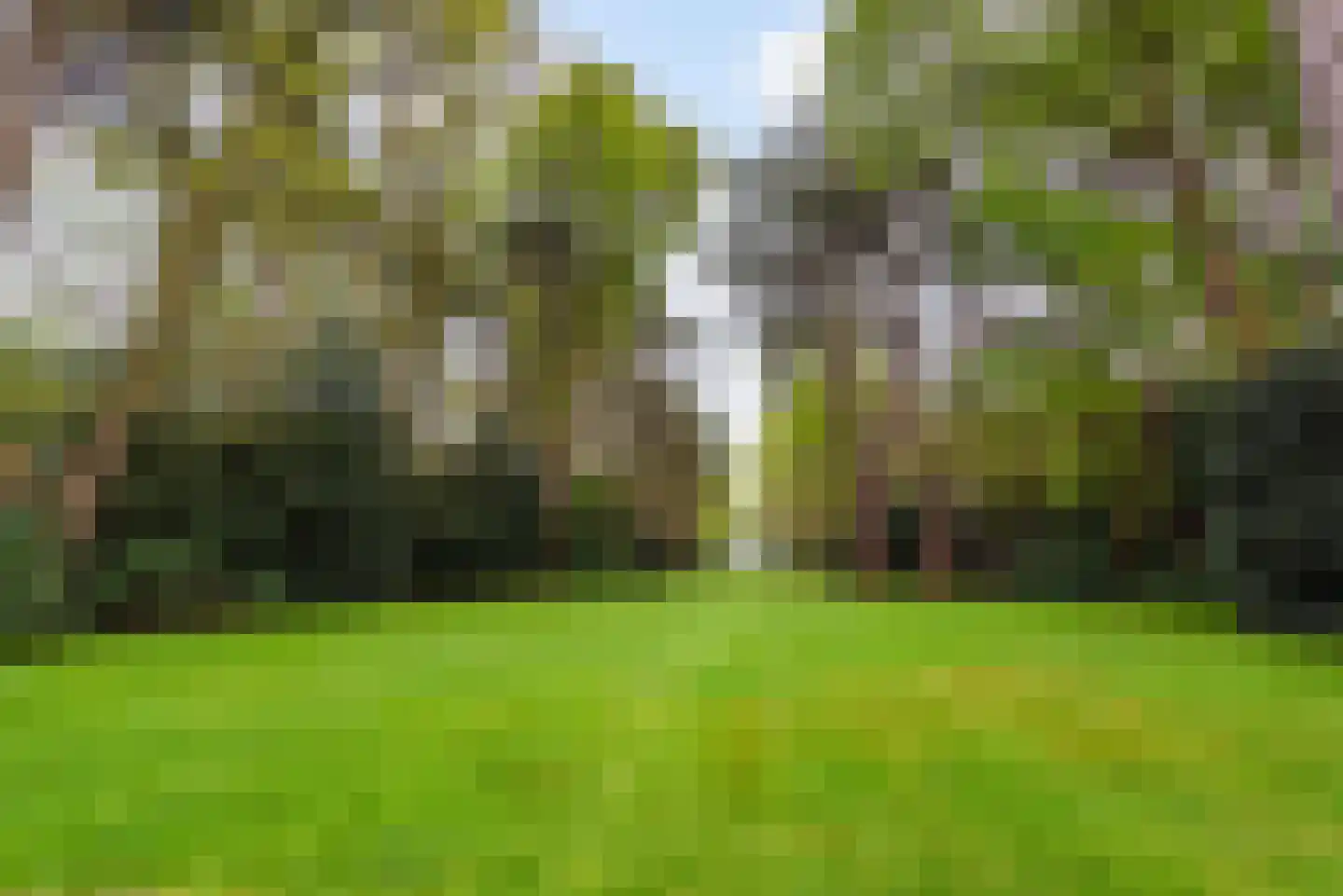 Laan van Pluymestein 30 Wassenaar thumbnail 4
