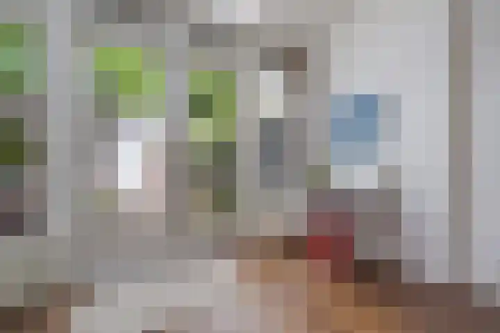 Laan van Poot 163 Den Haag thumbnail 12