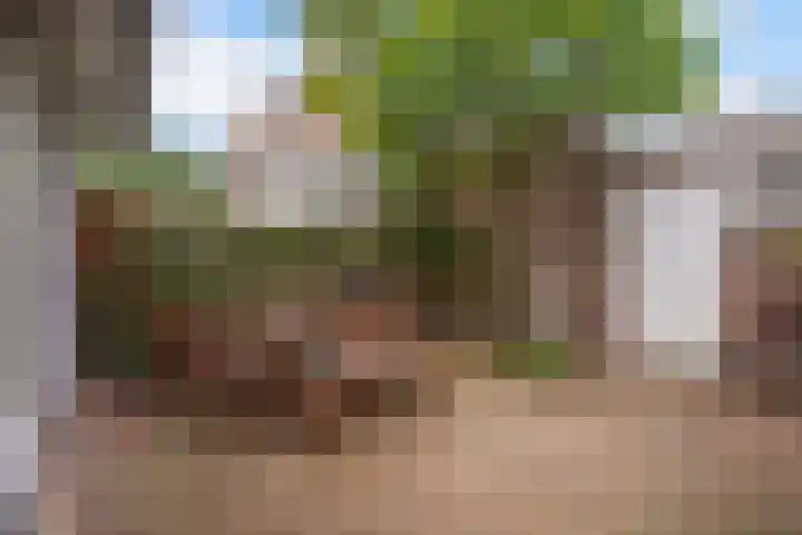 Laan van Poot 163 Den Haag thumbnail 13