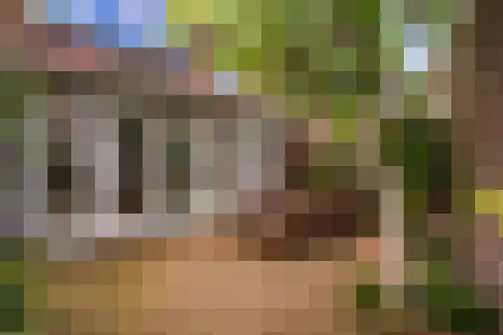 Laan van Poot 163 Den Haag thumbnail 15