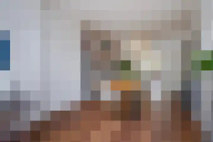 Laan van Poot 163 Den Haag thumbnail 19
