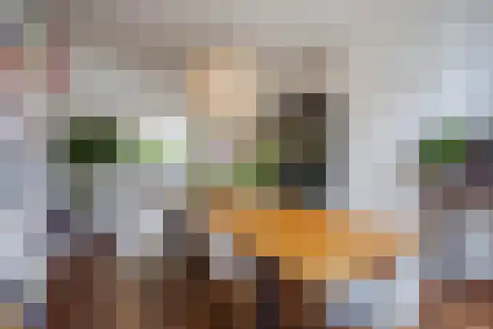 Laan van Poot 163 Den Haag thumbnail 20