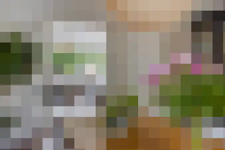 Laan van Poot 163 Den Haag thumbnail 21