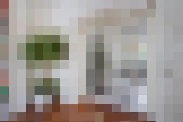 Laan van Poot 163 Den Haag thumbnail 22
